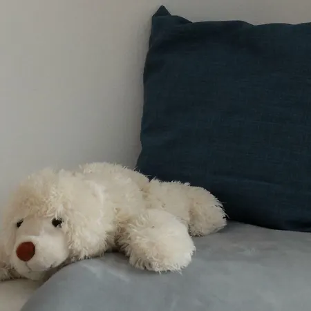 Elsa Apartamento *